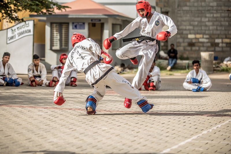 Taekwondo practice